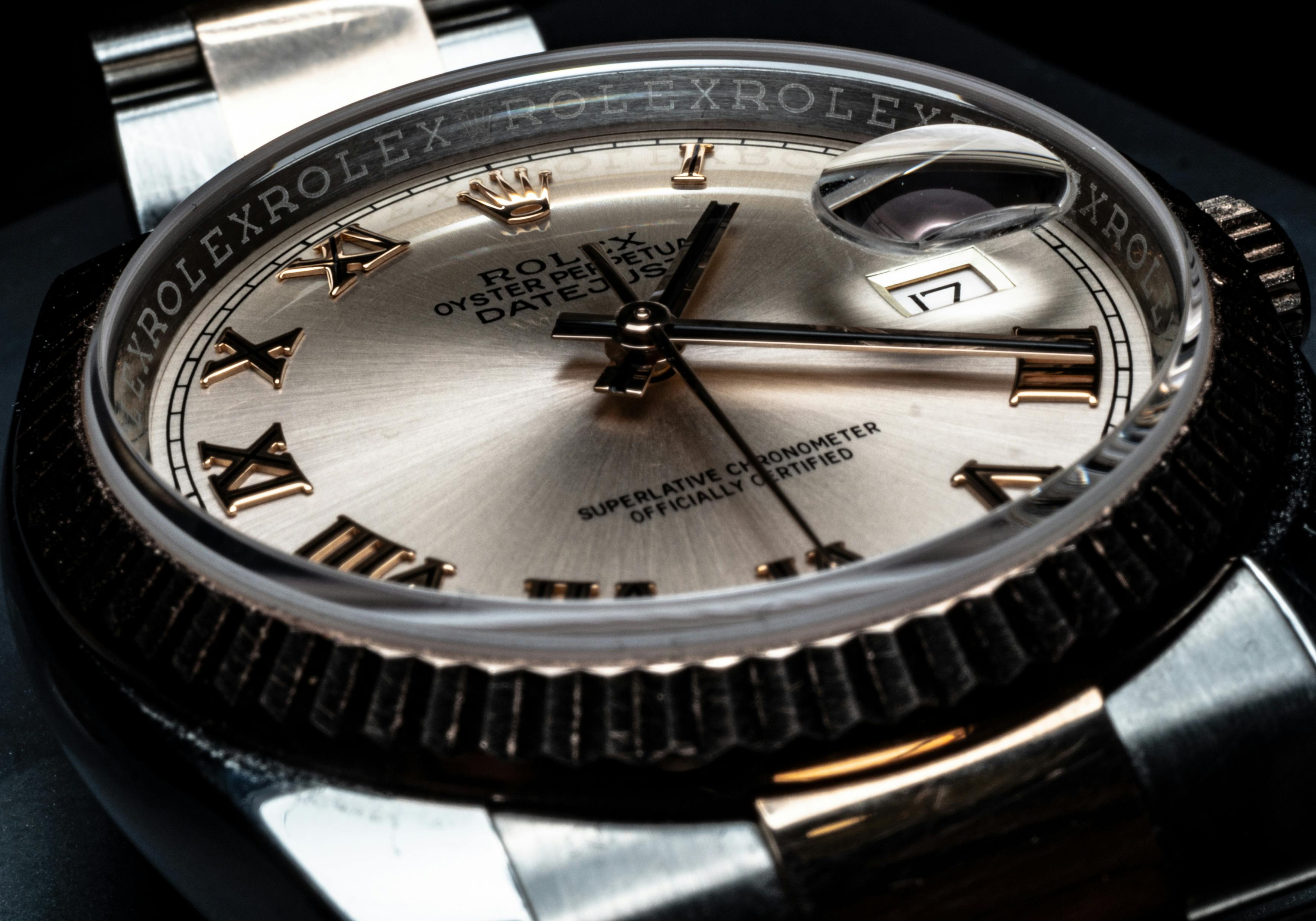 전문 감정사